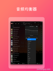 Evermusic Pro:离线音乐播放器和均衡器 音乐-第2张